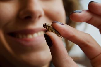 Insetti nel piatto pediatri no farine ai bimbi ancora dubbi