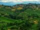 Canneto Pavese la storia secolare di un paese dove tutto ruota intorno al vino