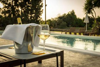 Cantine con piscina o piscine tra le vigne il connubio perfetto per lestate