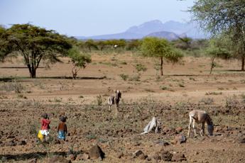 Cesvi In Africa le persone denutrite aumenteranno da 282 a 298 milioni nel 2030