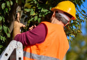 Prospettiva terracosi il network installera i sensori nella Biblioteca degli Alberi Milano