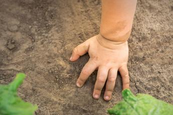 Giornata mondiale del suolo un appello per la salute della terra