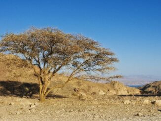 1 immagine Deserto della Giudea. Crediti IGTO - CTS _DSC6871