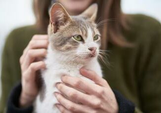 Caso di peste bubbonica negli Usa paziente contagiato dal suo gatto in Oregon