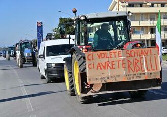 Trattori una protesta con tanti capi movimento a caccia di un leader