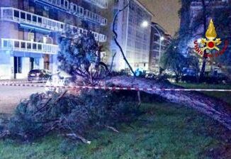 Maltempo nel biellese alberi caduti e allagamenti