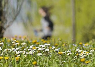 Pioggia e maltempo poi torna il sereno primavera in arrivo Le previsioni meteo di oggi