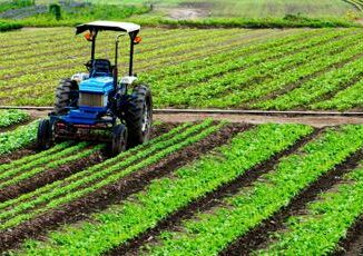 UnEuropa sociale attenta alle sfide dellagricoltura il manifesto Cia – Agricoltori italiani