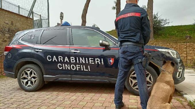 Carabinieri cinofili di Palermo