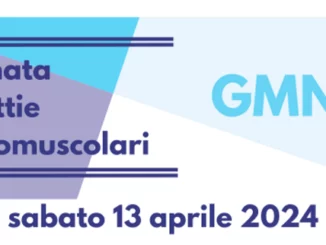 Logo GMN 2024