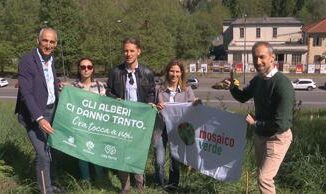 Sostenibilita forestazione urbana 750 nuove piante nel quartiere Parella di Torino