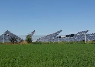 Dl Agricoltura stop allagrivoltaico se non permette lattivita agricola