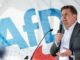 Germania frase sulle SS Afd vieta eventi pubblici al candidato di punta