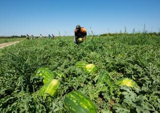 Caldo in Calabria stop al lavoro nei campi e nei cantieri nelle ore a rischio