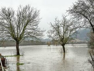 Maltempo in Veneto allagamenti e frane attesa la piena del Livenza