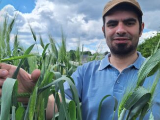 Fabrizio Gennaro Arresta Aridocoltura coltivare senza irrigazione