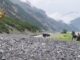 Sondrio frana lungo via della Val a Livigno