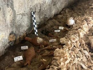 Tomba del Cerbero scoperto cadavere con sudario