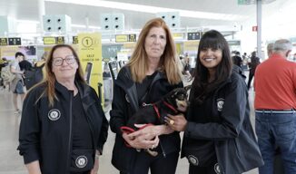 Vueling e Nasoni and Friends ODV insieme per lInternational Dog Day