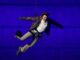 Parigi 2024 Tom Cruise versione Mission Impossible per volare a Los Angeles 2028 Video