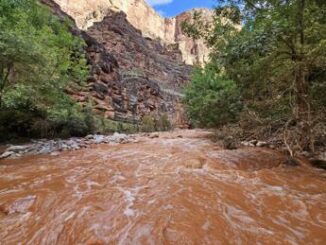 Paura al Grand Canyon per inondazioni improvvise oltre 100 persone evacuate Video