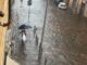 Bomba dacqua a Roma pioggia e vento forte strade allagate Foto