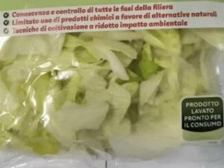 Listeria in insalata iceberg in busta richiamati lotti di 19 marchi