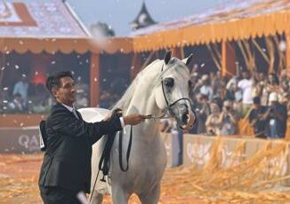 Roma confermato il Global Champions Arabians Tour al Circo Massimo