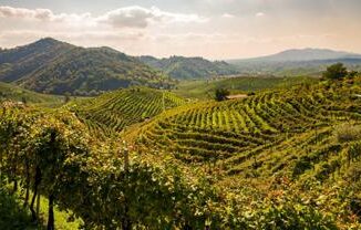 Unesco Airbnb e Associazione Patrimonio Colline del Prosecco patto per promuovere il sito