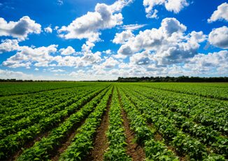 Agricoltura Farming for Future su quella biologica bene monito Corte dei Conti europea