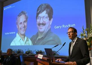 Nobel Medicina 2024 a Victor Ambros e Gary Ruvkun per la scoperta del microRna