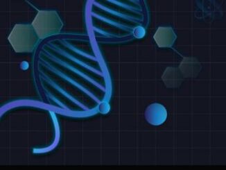 Prima mappa del cervello adulto svelata la rete di neuroni e sinapsi