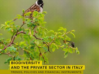 Rapporto Etifor tutela della biodiversita e una responsabilita condivisa