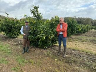 Agroalimentare Op Armonia da Salerno arriva unica varieta italiana di clementina tardiva