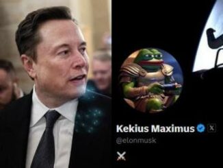 Elon Musk nuovo nome su X. E un meme diventa immagine profilo