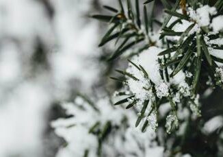 Freddo raffiche di vento e neve sullItalia le previsioni meteo