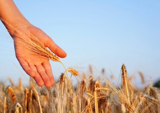 Limmunologo allergeni occulti in reazioni allergiche mortali