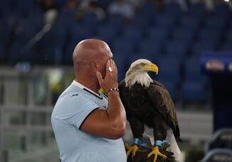 Caso Bernabe ex falconiere e in convalescenza a Formello