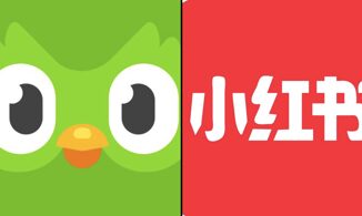 Esodo da TikTok a RedNote e tutti studiano cinese su Duolingo