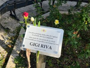 Un Targa e un Ulivo per Gigi Riva