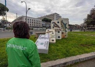 Cop16 Greenpeace in azione Se cade la natura casca il mondo