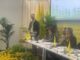 Myplant Garden Beduschi Evento che fa onore al sistema fieristico lombardo